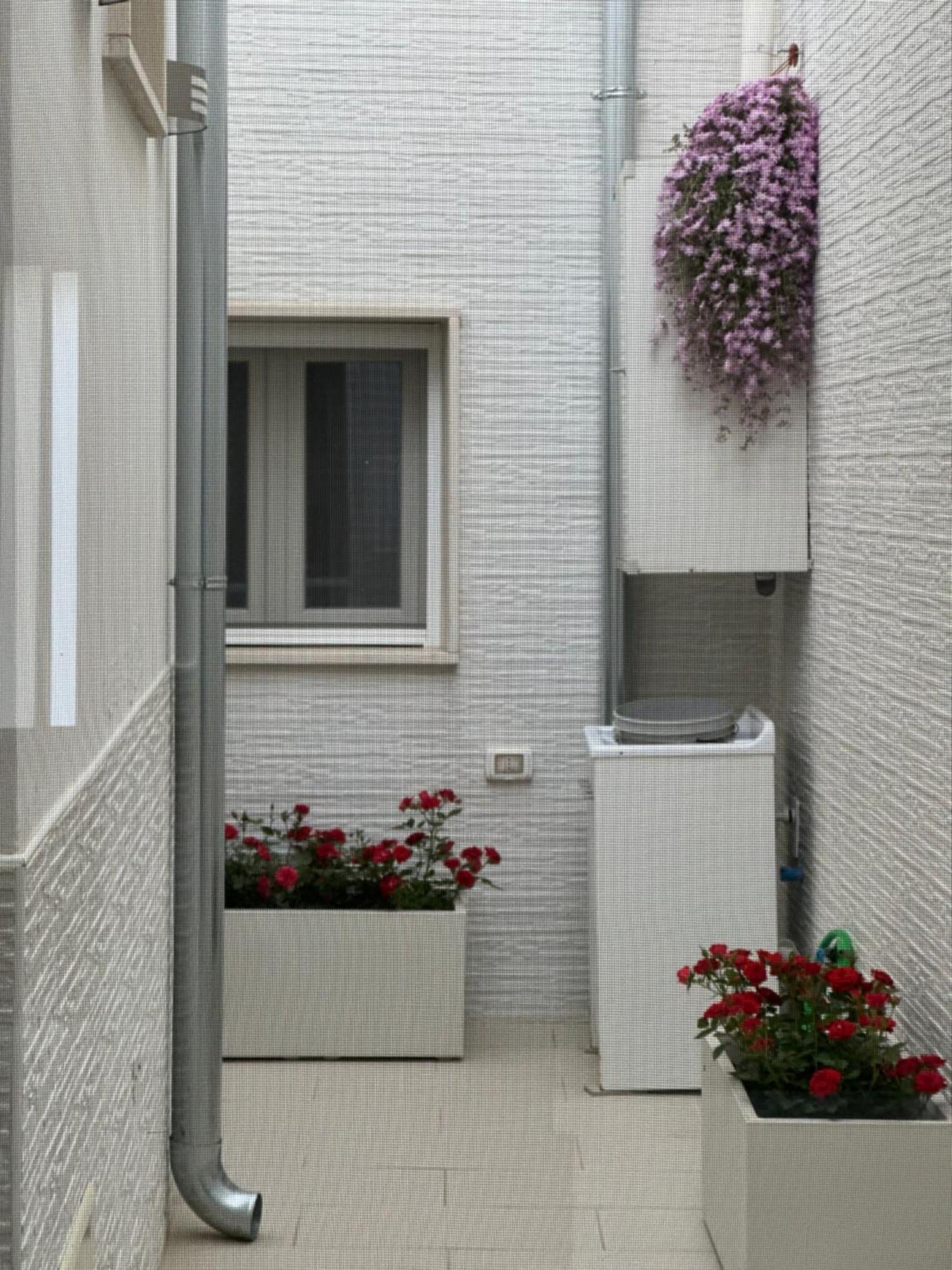 Squinzano Casa Nobileヴィラ エクステリア 写真